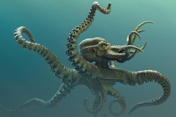 Правильная ссылка kraken