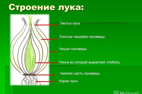 Перевод денег на мегу