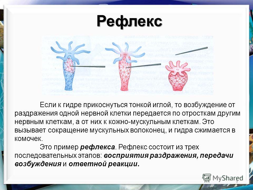 Купить мефедрон телеграм